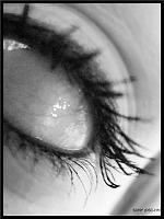 eye 
 
..  /  