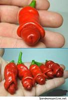 pepperorpenis