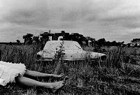 Tiffany Crisci   self portrait, carhenge nebraska