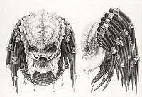 Crash McCreery Predator Design