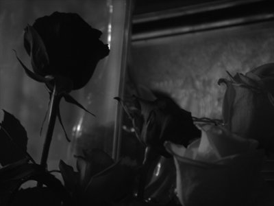 23rdBD  black roses [1]
