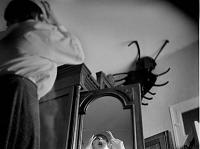 Fotografo paco gomez
