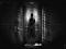blackghost